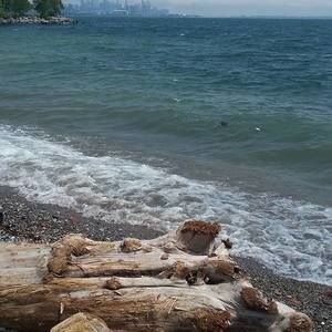 Meet your Posher, Tada